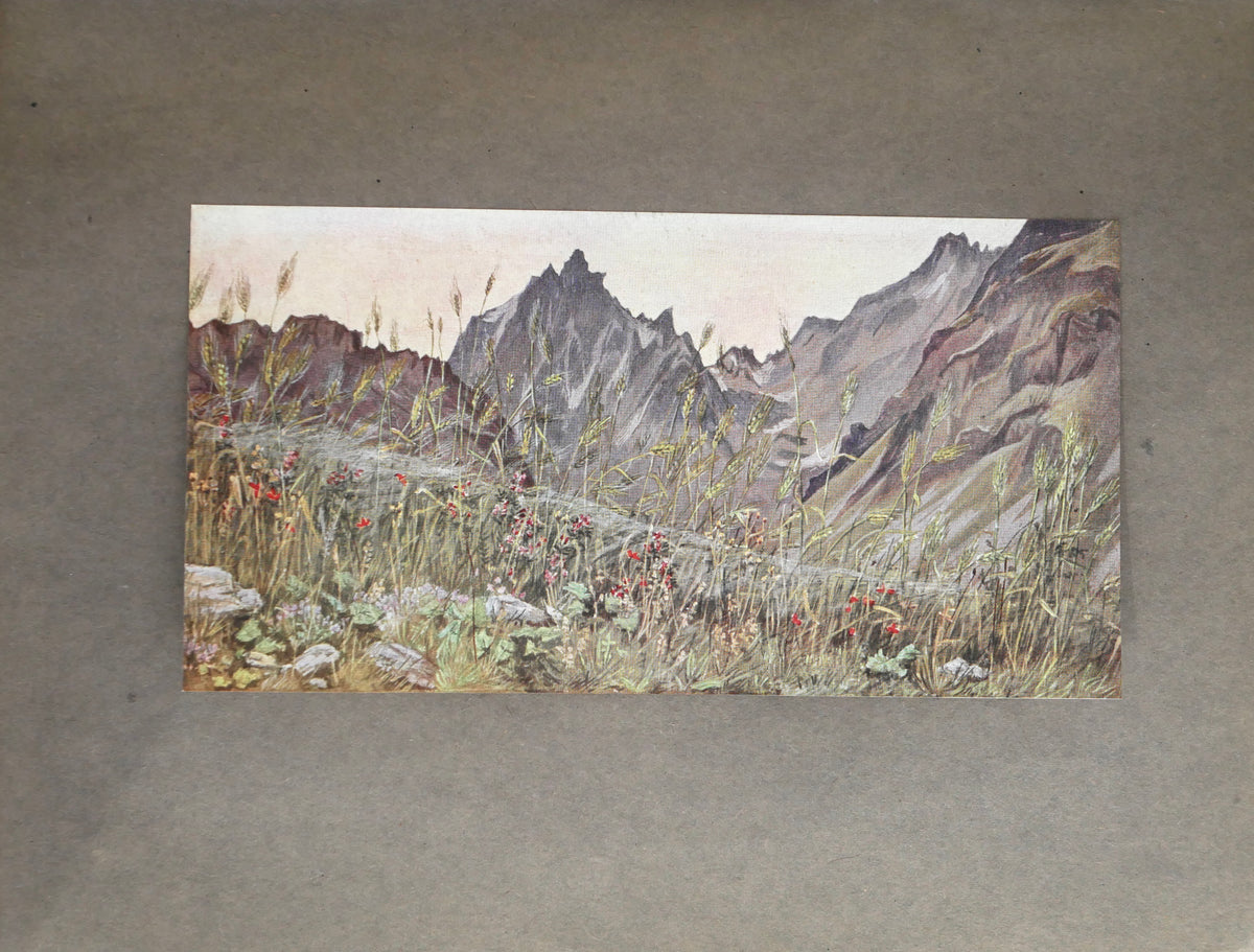 A painter-folklorist's record of a vanishing Alpine world — with fifty colour plates after the author's own pictures