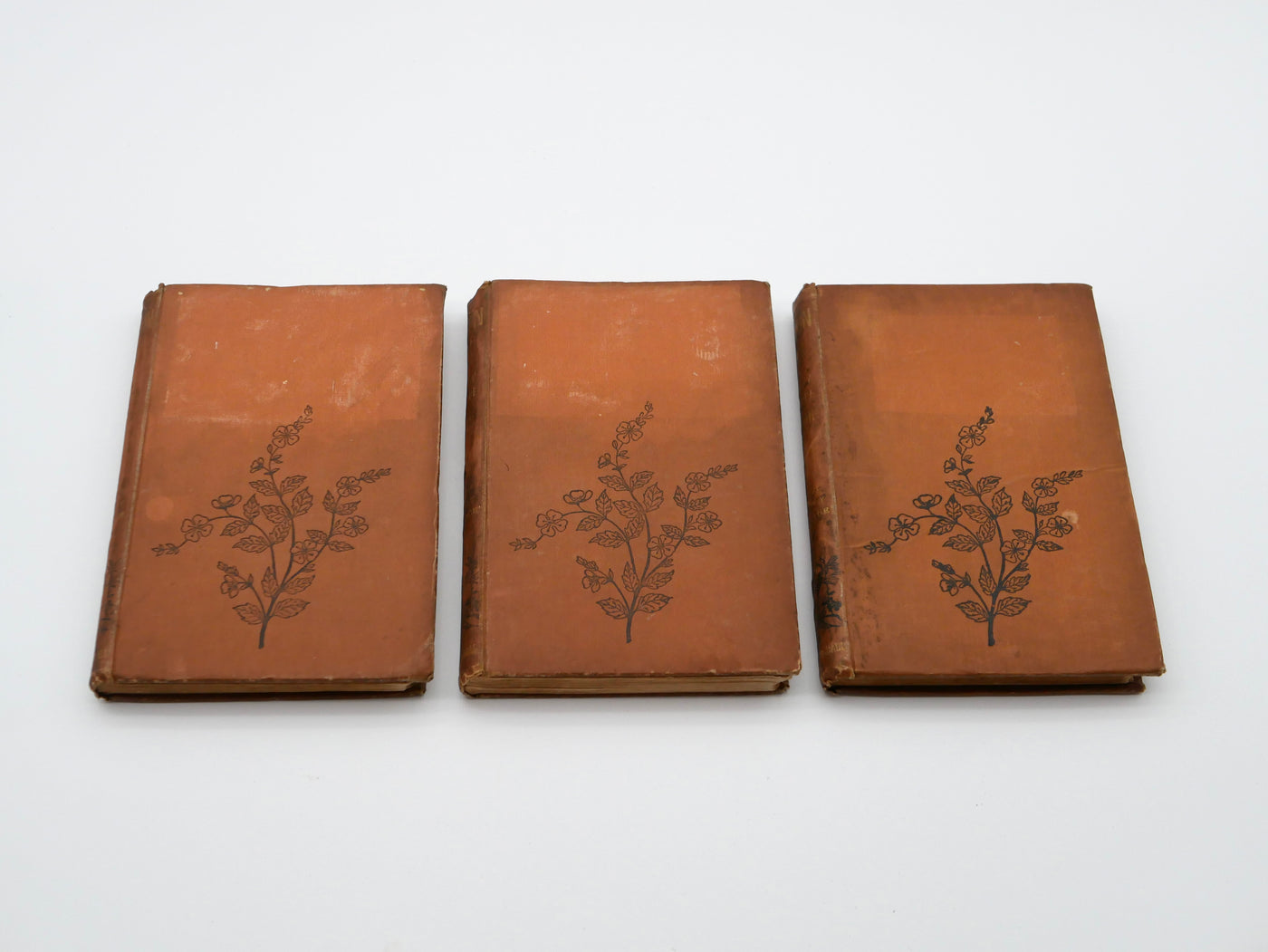 A late Trollope triple-decker in the original three volumes — a novel of love across the barriers of rank