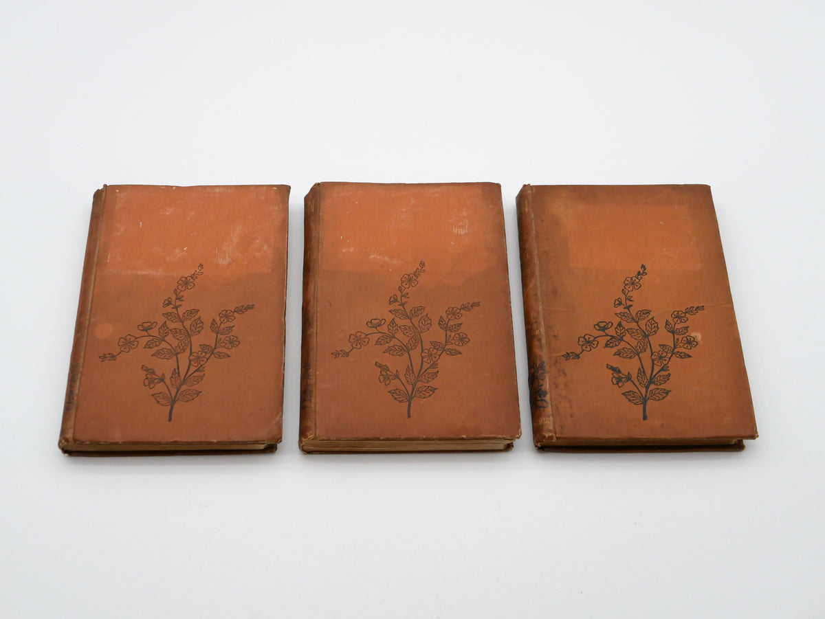 A late Trollope triple-decker in the original three volumes — a novel of love across the barriers of rank