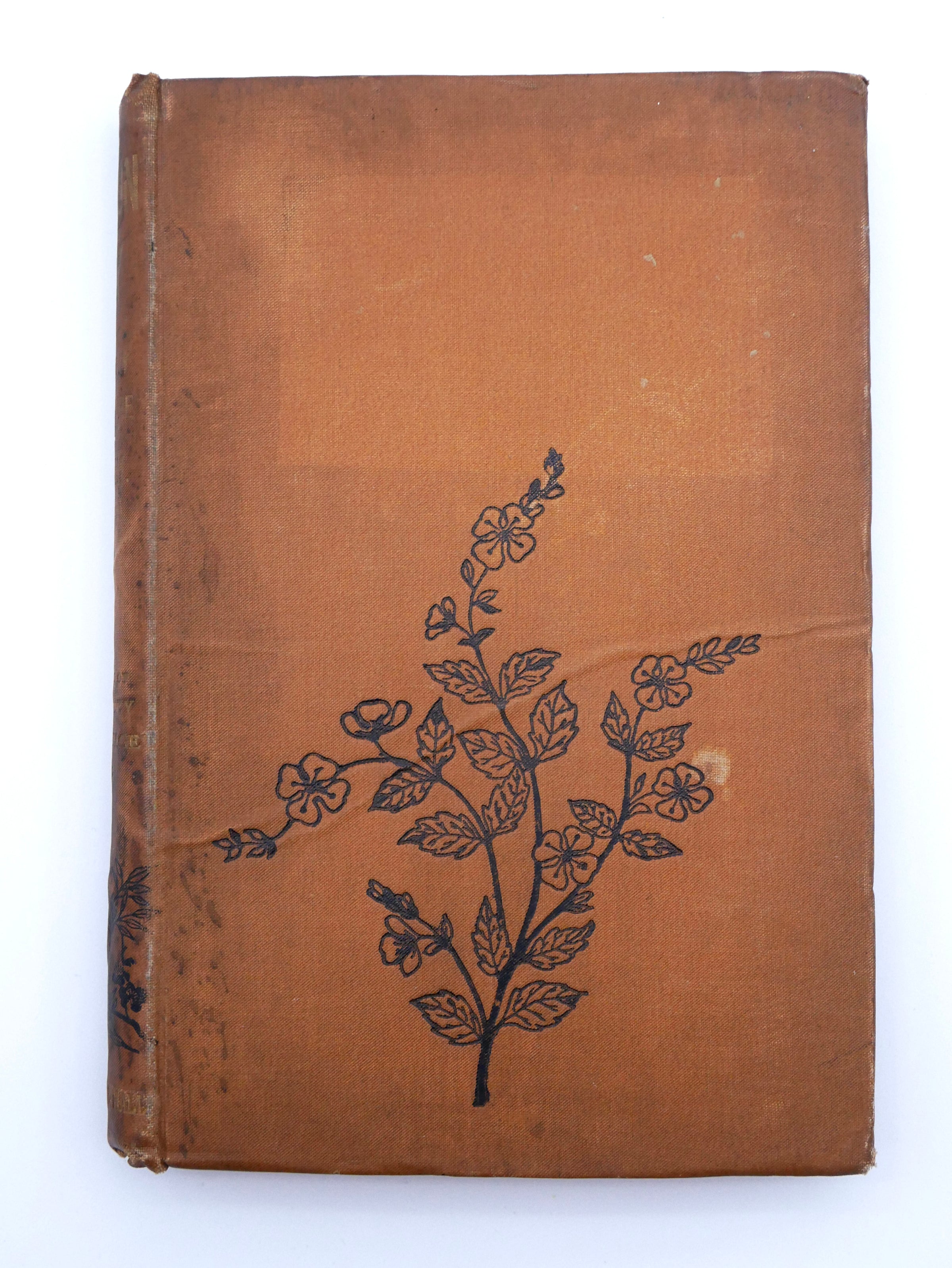 A late Trollope triple-decker in the original three volumes — a novel of love across the barriers of rank