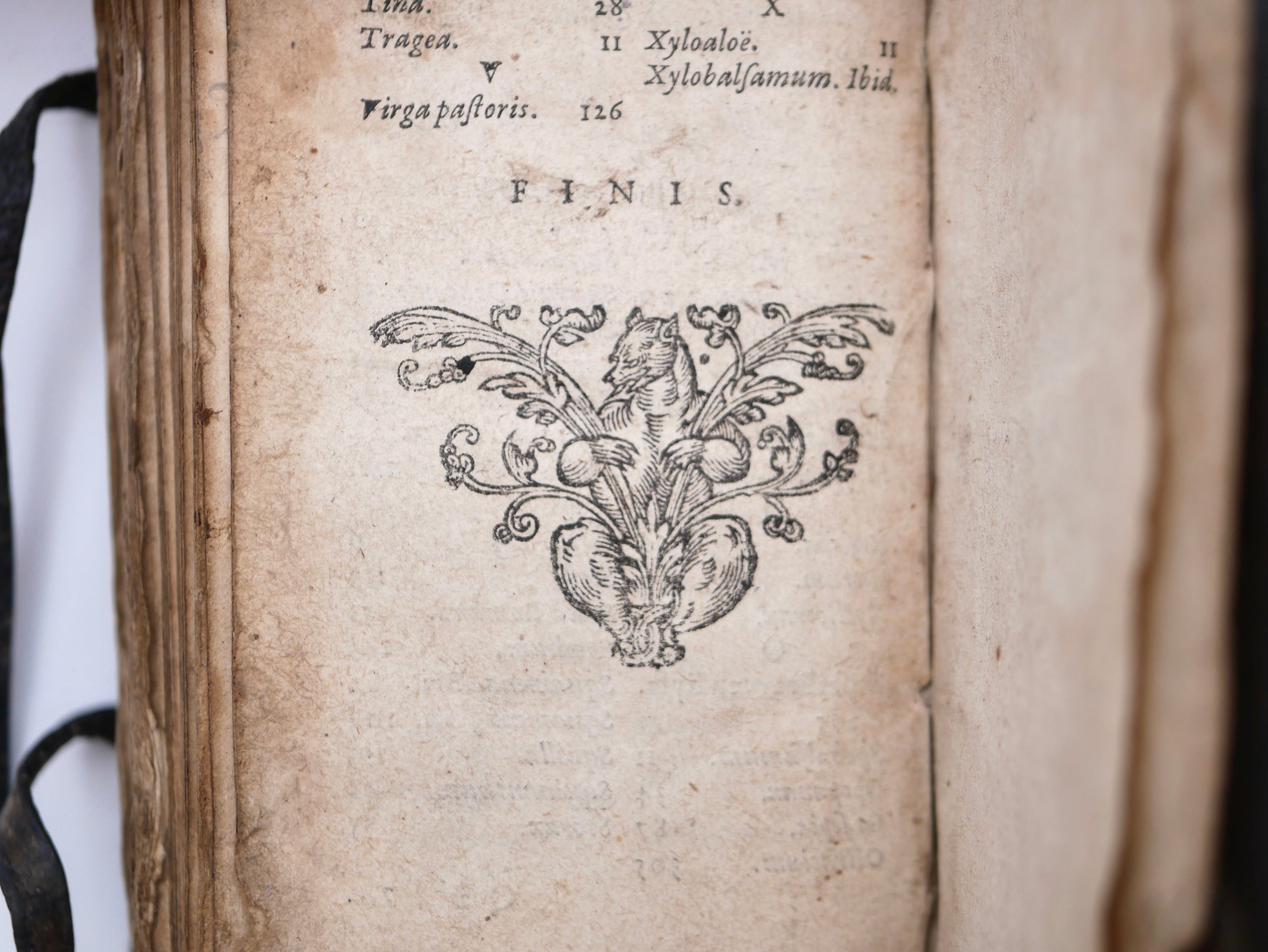 STOCKER, Johannes. Praxis Aurea, Leiden 1657 — The Earliest Western Prescription for Filling a Tooth with Amalgam, in Toll's Final Recension