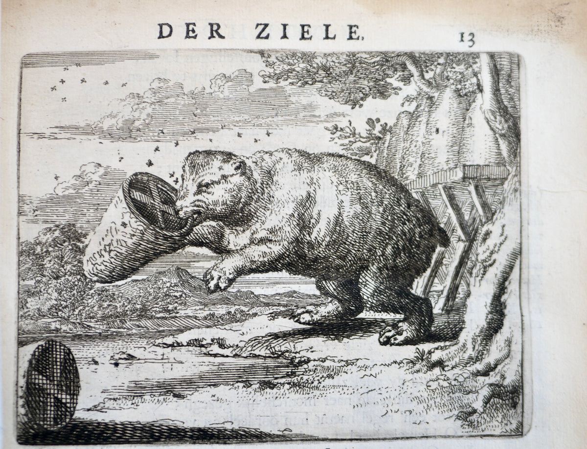 From the Rembrandt Circle: Het Voorhof der Ziele — Frans van Hoogstraten, Rotterdam 1668. First Edition, First Issue, with 60 Etchings by Romeyn de Hooghe