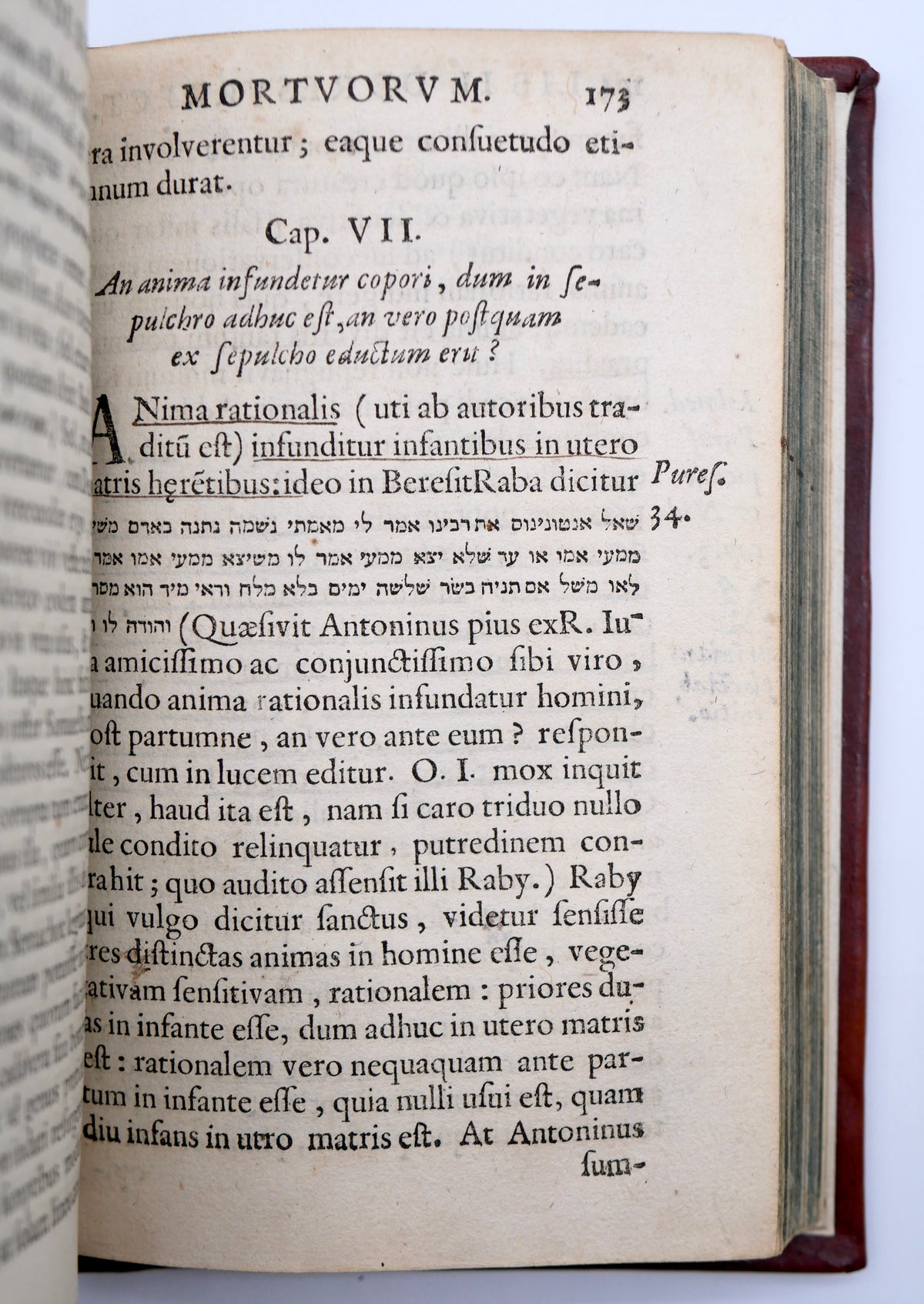 De resurrectione mortuorum (1636) — Menasseh ben Israel’s First Edition, with Manuscript Corrections and Waisenhaus Provenance