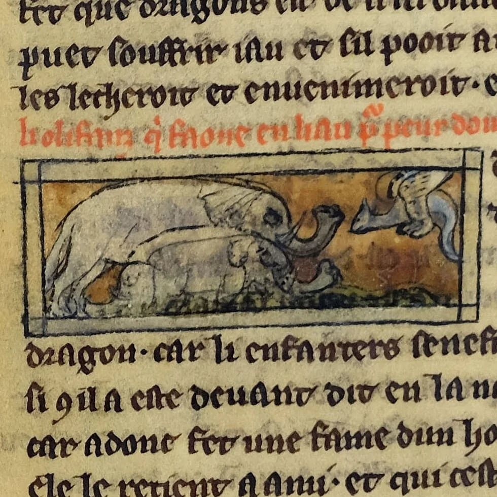 Le Bestiaire d’amour