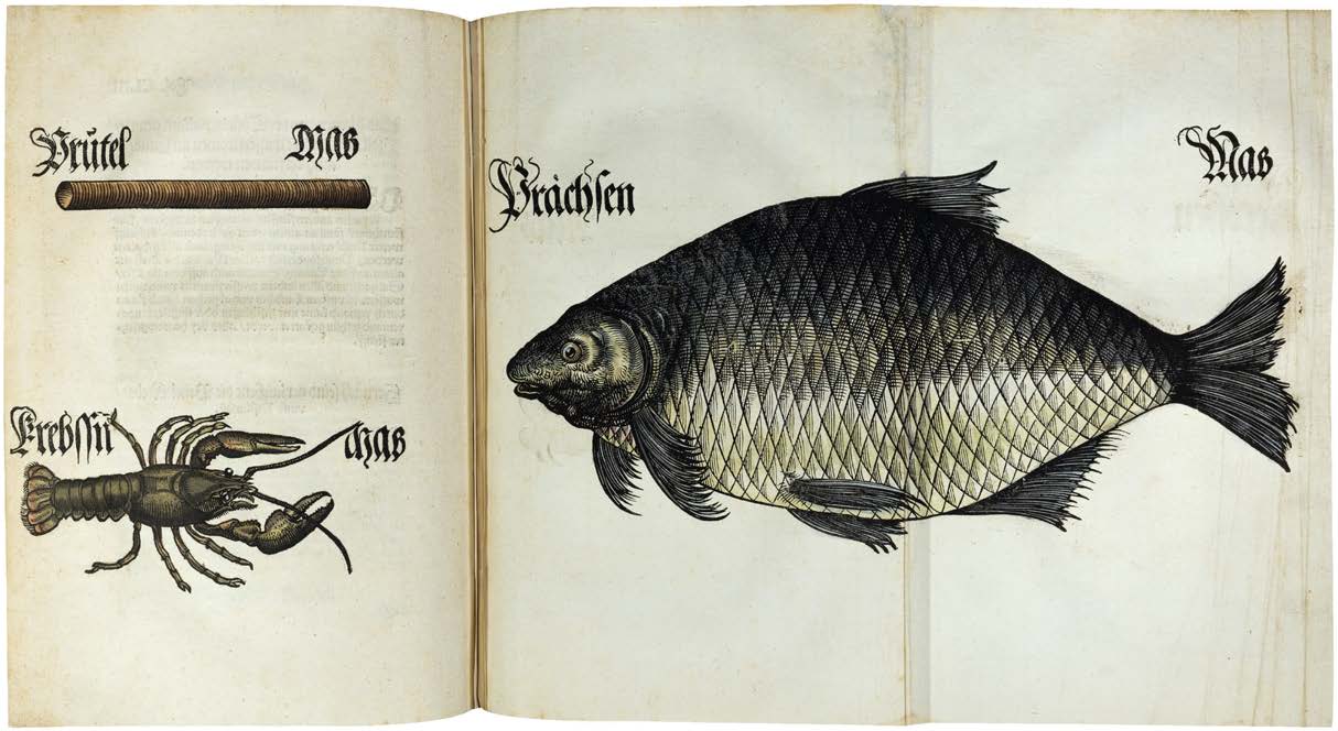Something Fishy in Bavarian Law