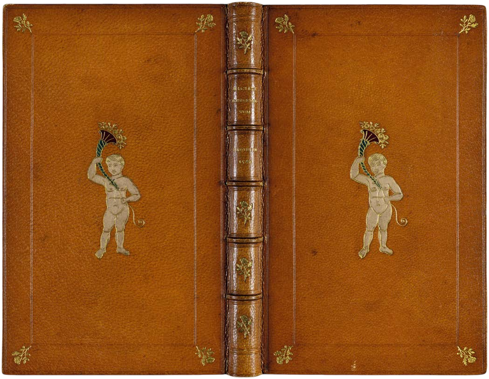 Decorative leather-bound book with cherub illustrations on a brown background