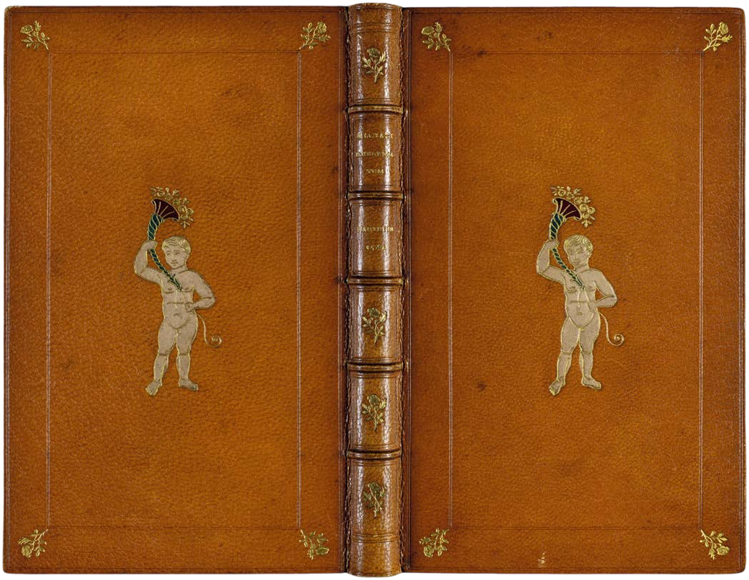Decorative leather-bound book with cherub illustrations on a brown background