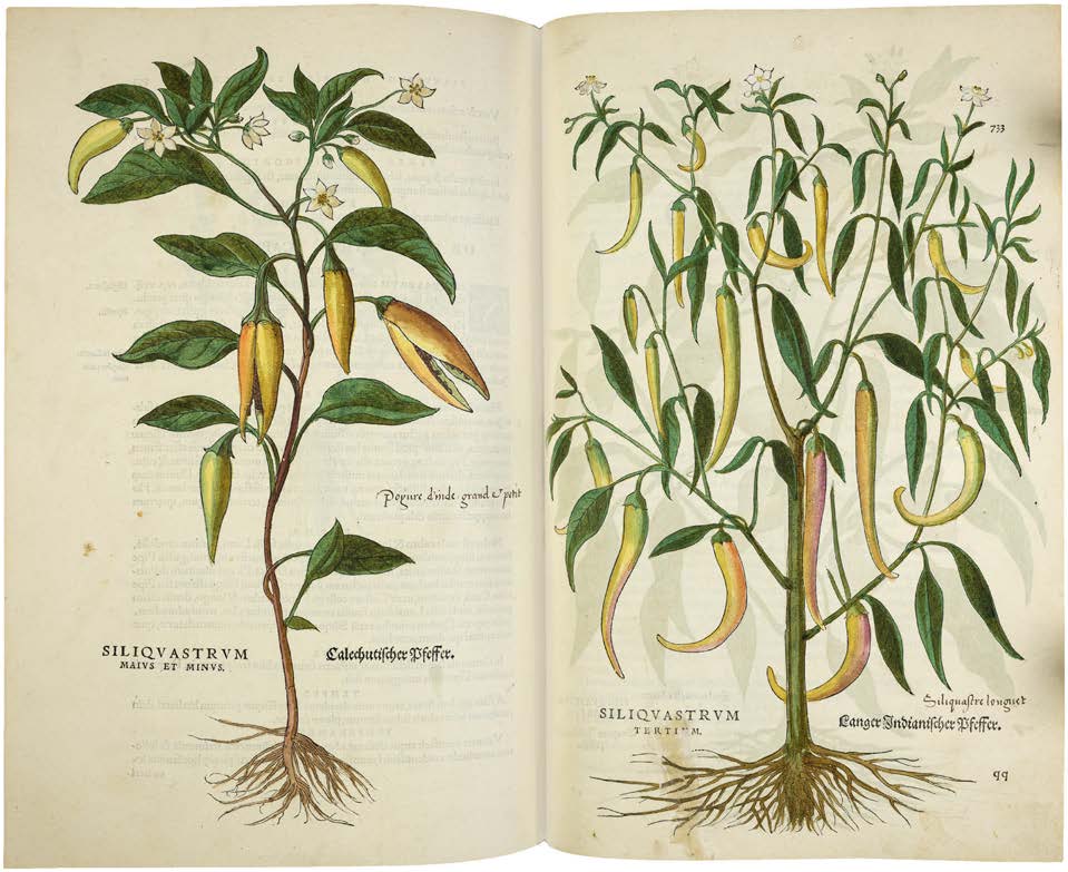 Leonhart Fuchs’ De historia stirpium; the Most Famous Herbal Ever Printed