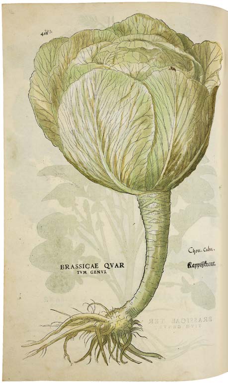 Leonhart Fuchs’ De historia stirpium; the Most Famous Herbal Ever Printed