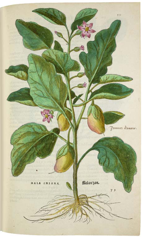 Leonhart Fuchs’ De historia stirpium; the Most Famous Herbal Ever Printed