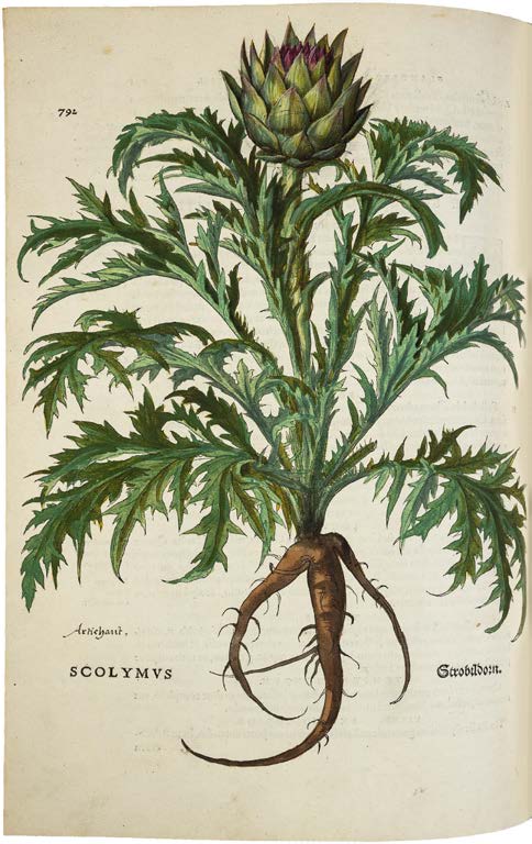 Leonhart Fuchs’ De historia stirpium; the Most Famous Herbal Ever Printed