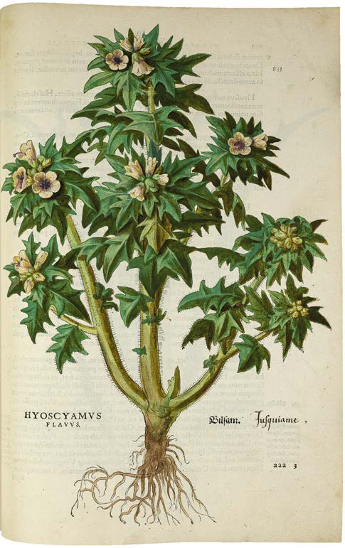 Leonhart Fuchs’ De historia stirpium; the Most Famous Herbal Ever Printed