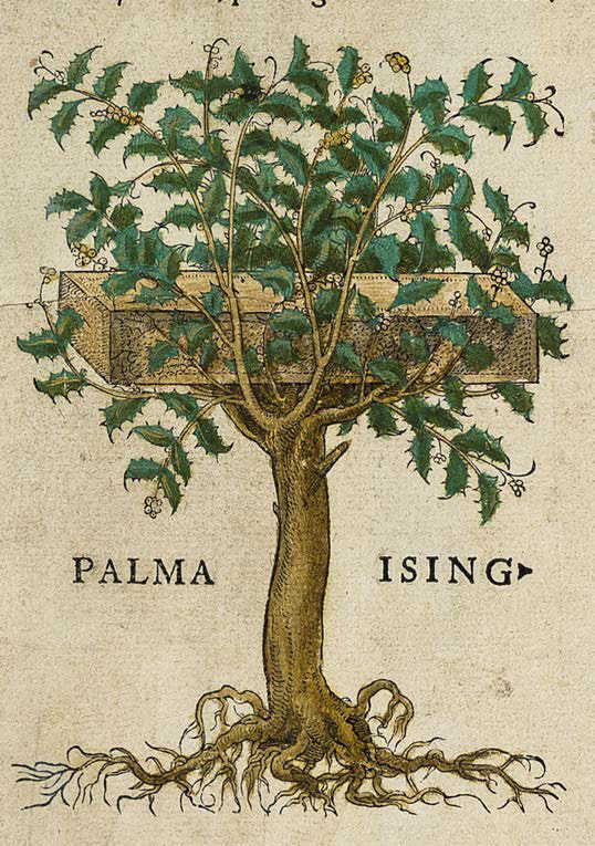 Leonhart Fuchs’ De historia stirpium; the Most Famous Herbal Ever Printed