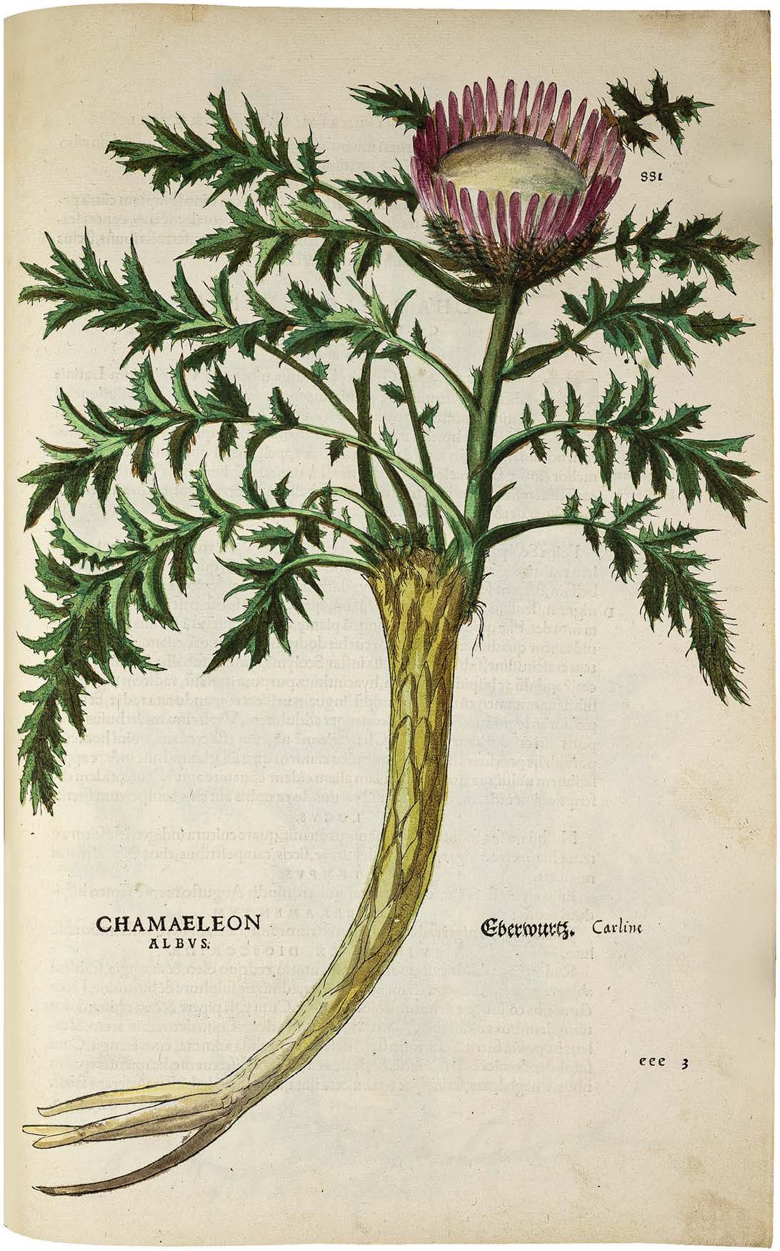 Leonhart Fuchs’ De historia stirpium; the Most Famous Herbal Ever Printed