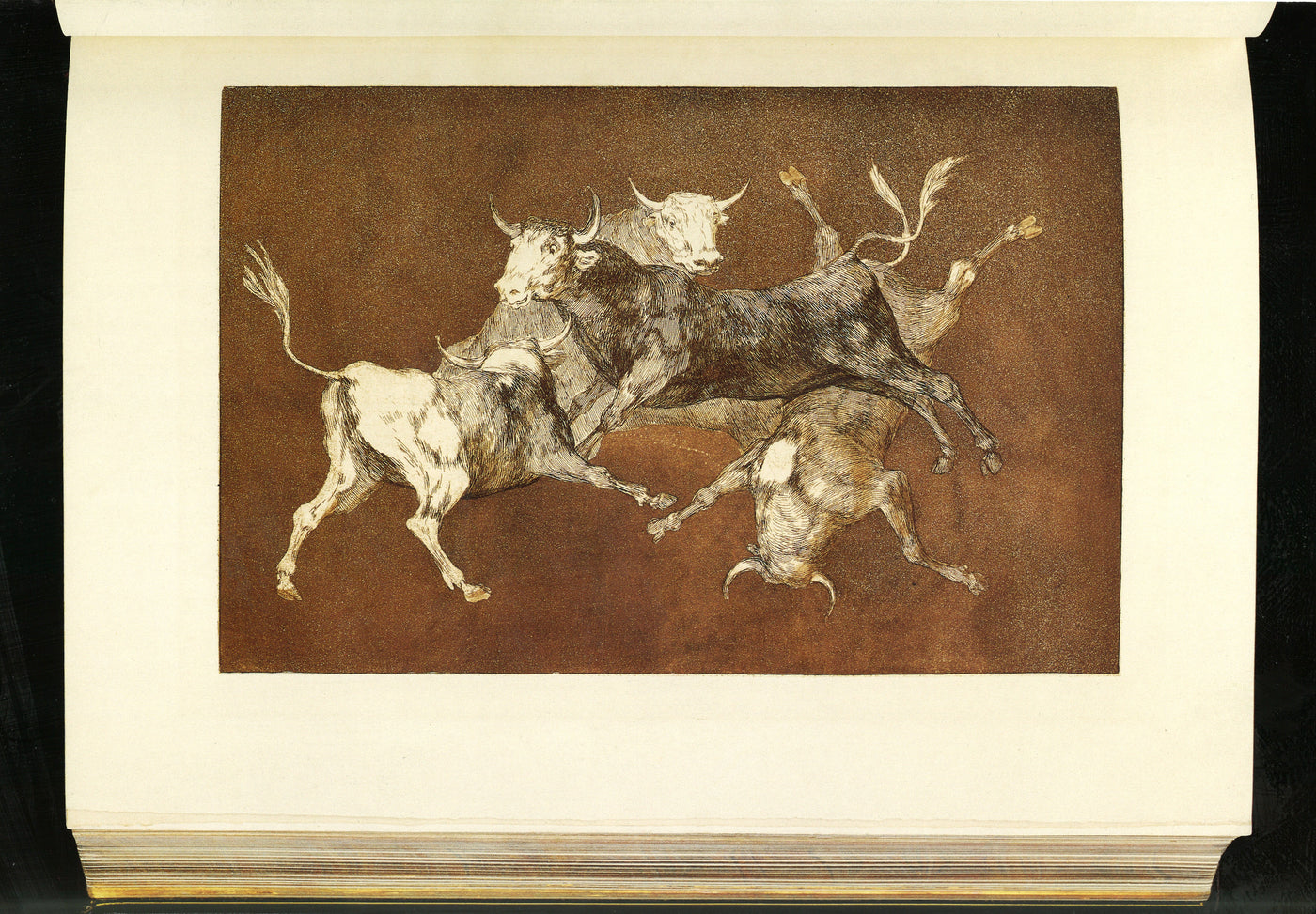 Goya, Disparate de toritos (Harris 269), proof before letters, printed in reddish brown on Whatman paper. Four bulls suspended in the air. Lettered Lluvia de toros in 1877. The copper: Louvre, Chalcographie, inv. 11442.