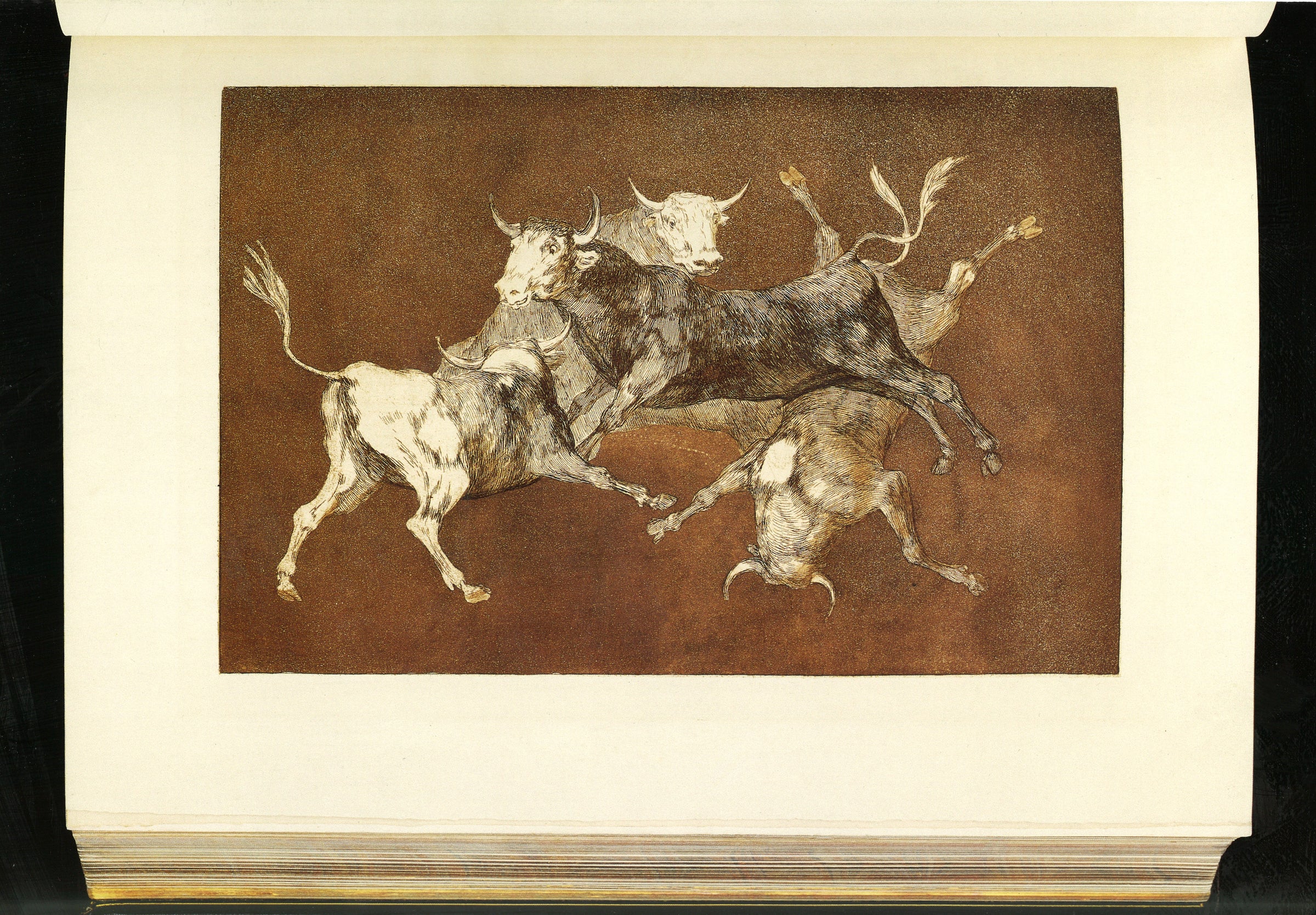 Goya, Disparate de toritos (Harris 269), proof before letters, printed in reddish brown on Whatman paper. Four bulls suspended in the air. Lettered Lluvia de toros in 1877. The copper: Louvre, Chalcographie, inv. 11442.