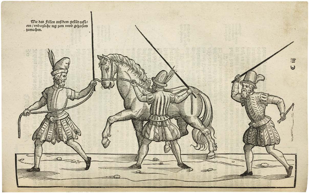 A Renaissance Horseman’s Library in Its Original “Rosz-Buch” Binding