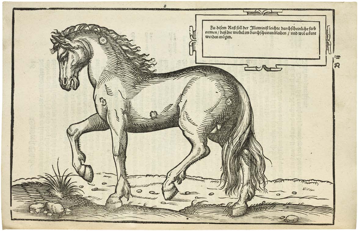 A Renaissance Horseman’s Library in Its Original “Rosz-Buch” Binding