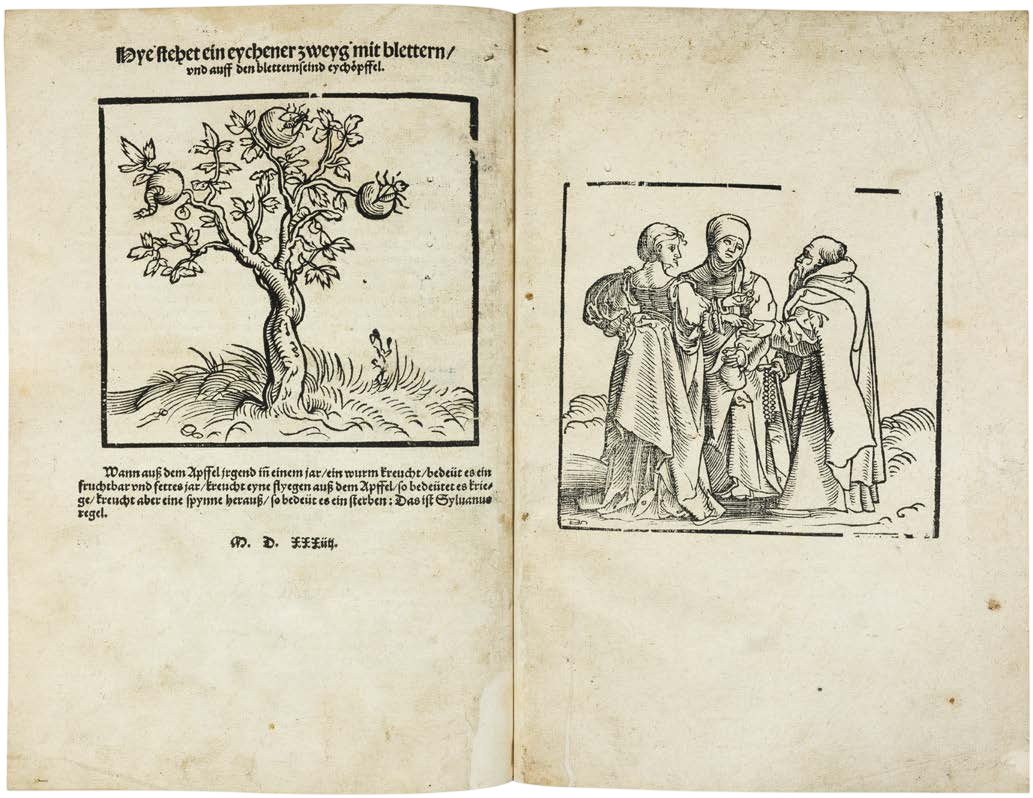 Johannes Lichtenberger’s Prophetic Woodcut Books