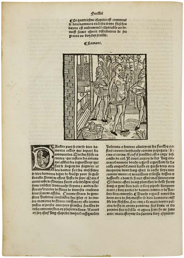 A Roman de la Rose from the Library of Markus Fugger