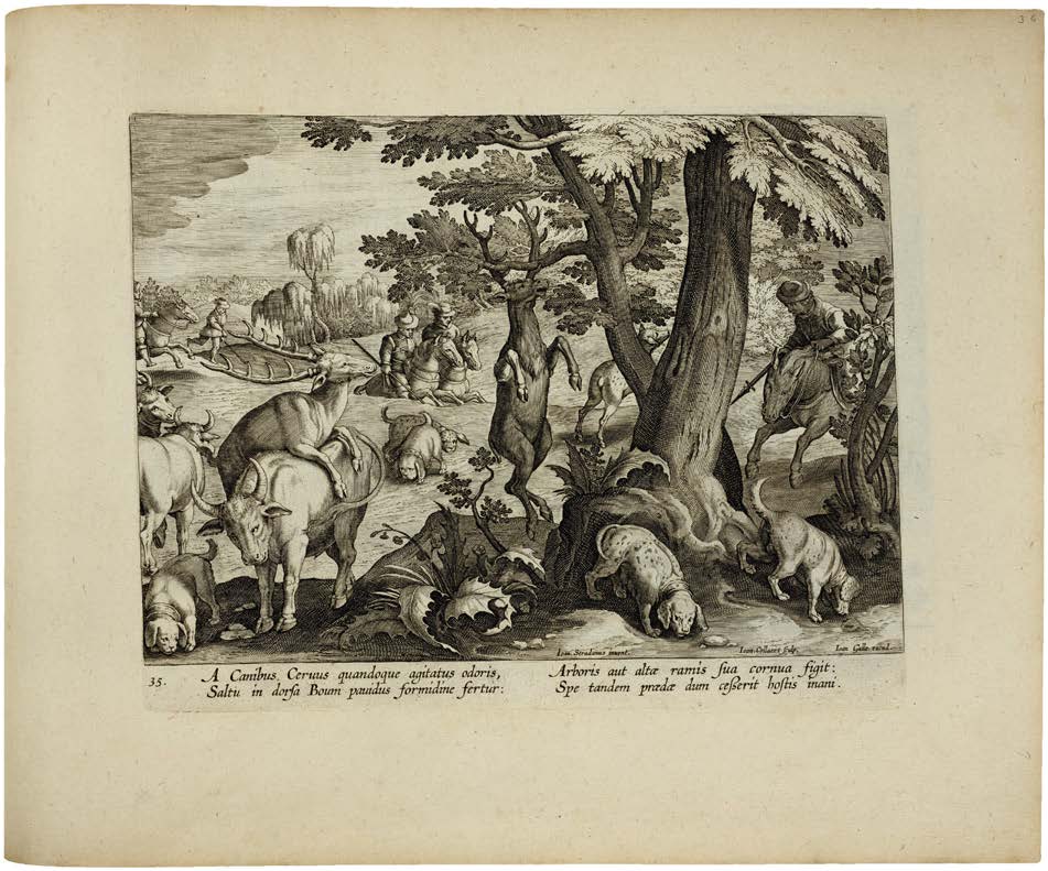 Hunting, Combat, Spectacle, and Survival on 104 Monumental Engravings of the Late Renaissance