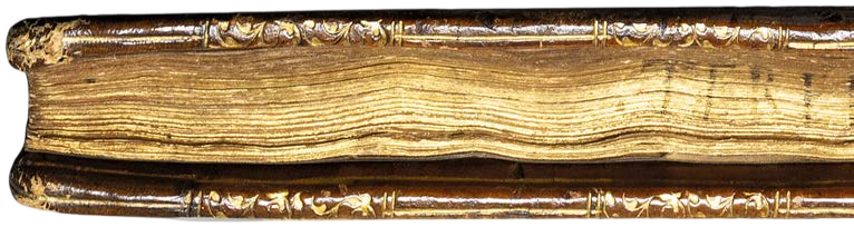 Close-up of an old leather-bound book with gold edges