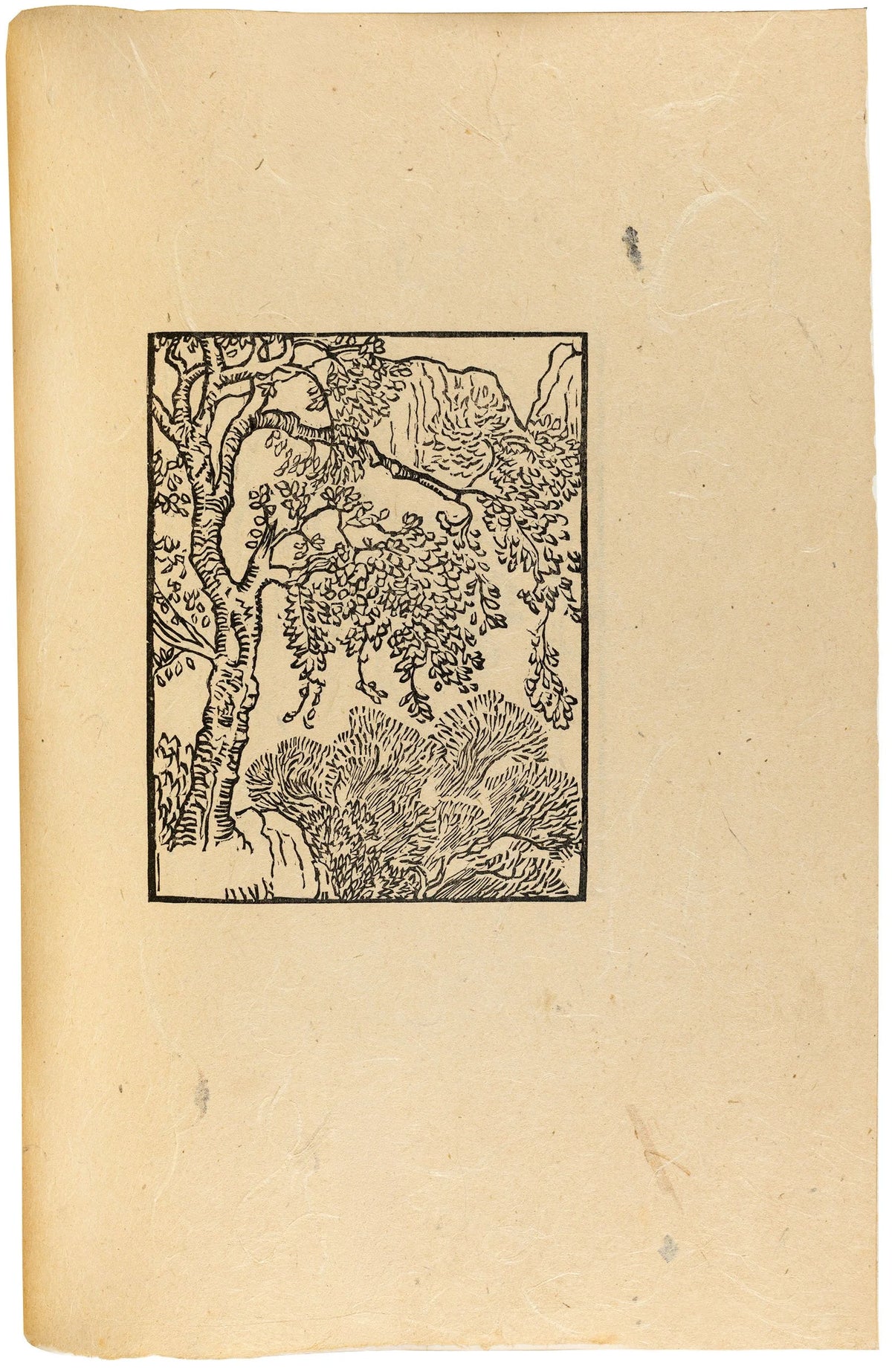 Les Églogues de Virgile, Cranach-Presse 1926, vellum copy C — photograph 27