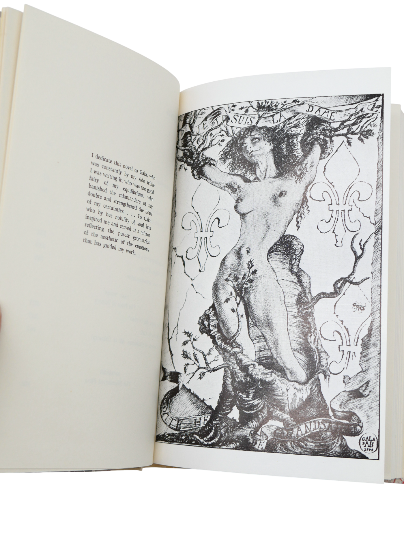 Salvador Dalí's Only Novel
