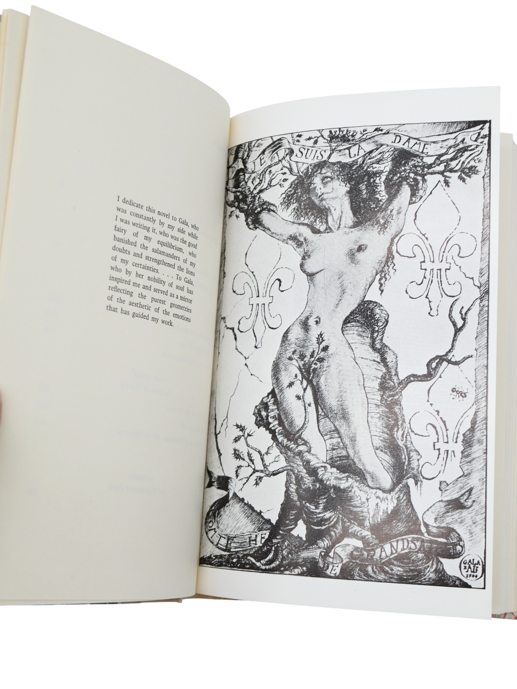 Salvador Dalí's Only Novel