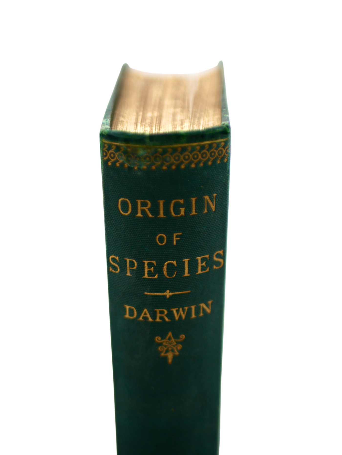 The Origin of Species