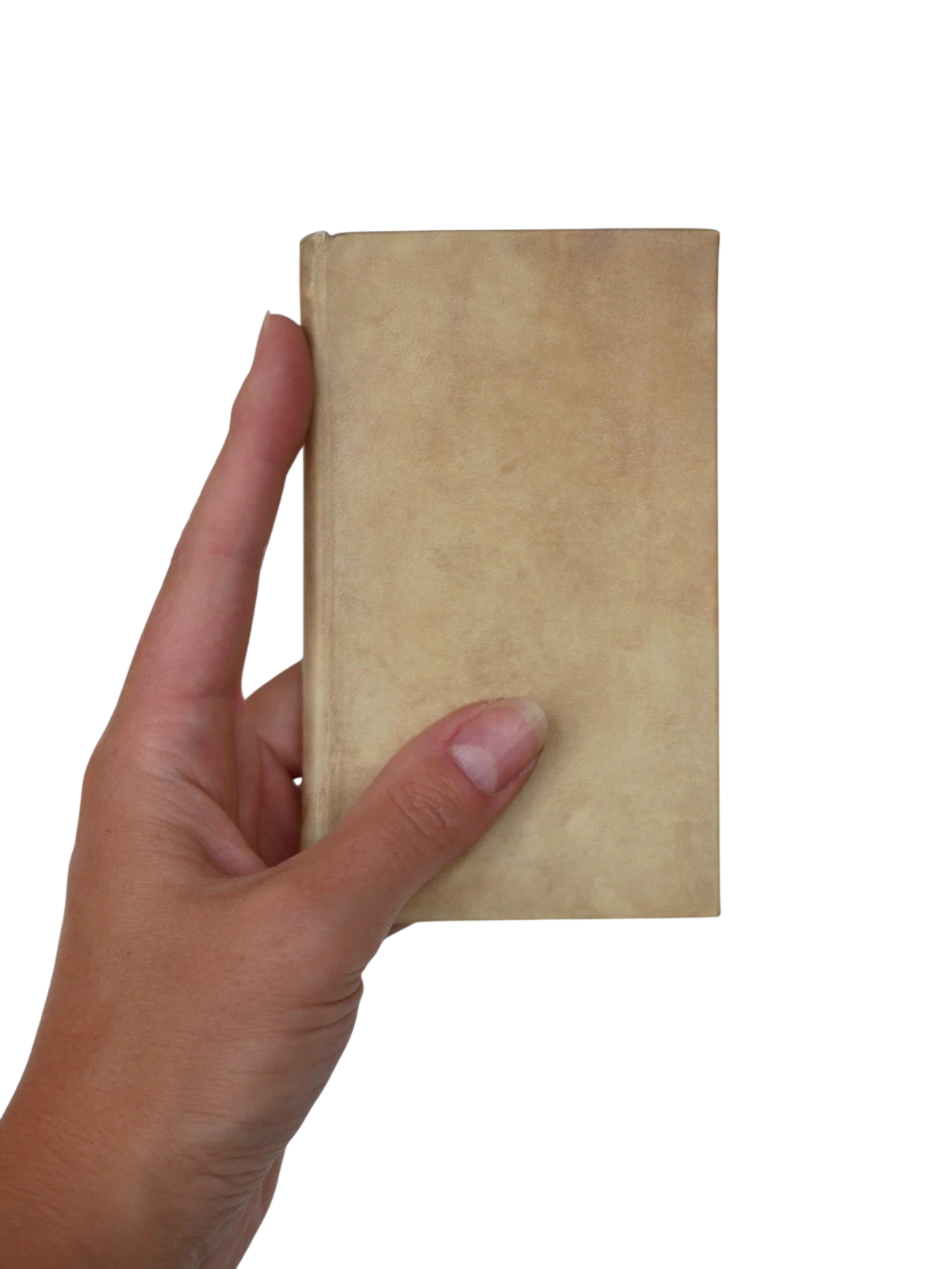 La Libraria: The First Survey of Italian Printed Books
