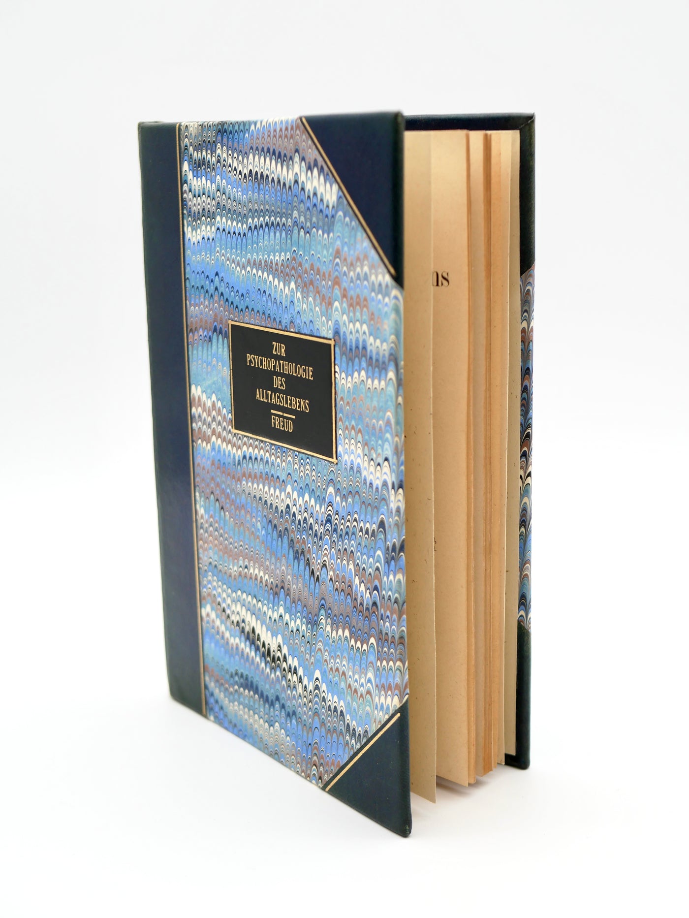The Birth of the Freudian Slip: Freud’s Psychopathology of Everyday Life, First Book Edition