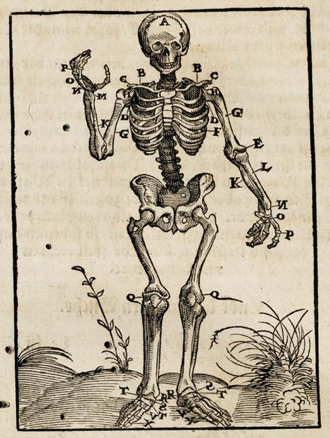 Tagault’s Renaissance Surgical Manual
