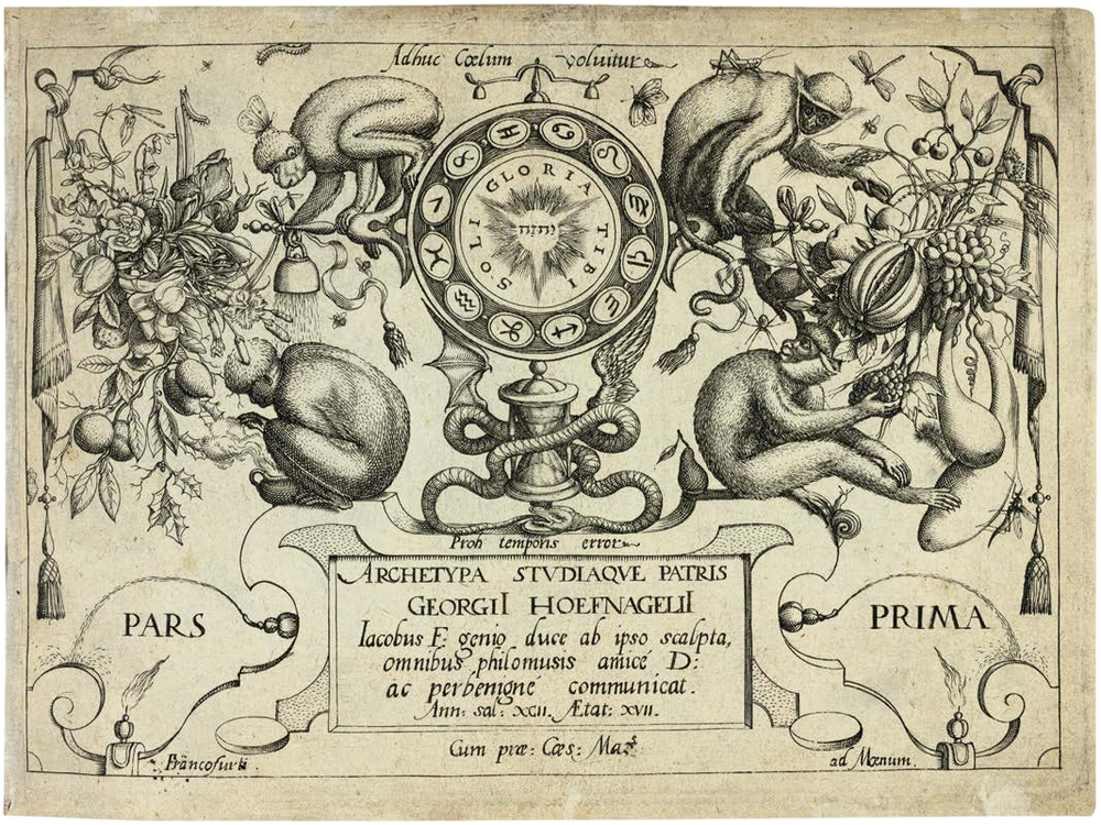 Georg Hoefnagel’s Archetypa Studiaque: Nature Under the Magnifying Glass