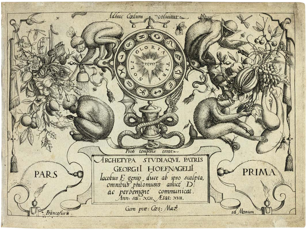 Georg Hoefnagel’s Archetypa Studiaque: Nature Under the Magnifying Glass
