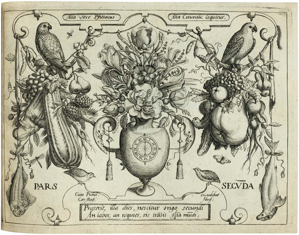 Georg Hoefnagel’s Archetypa Studiaque: Nature Under the Magnifying Glass