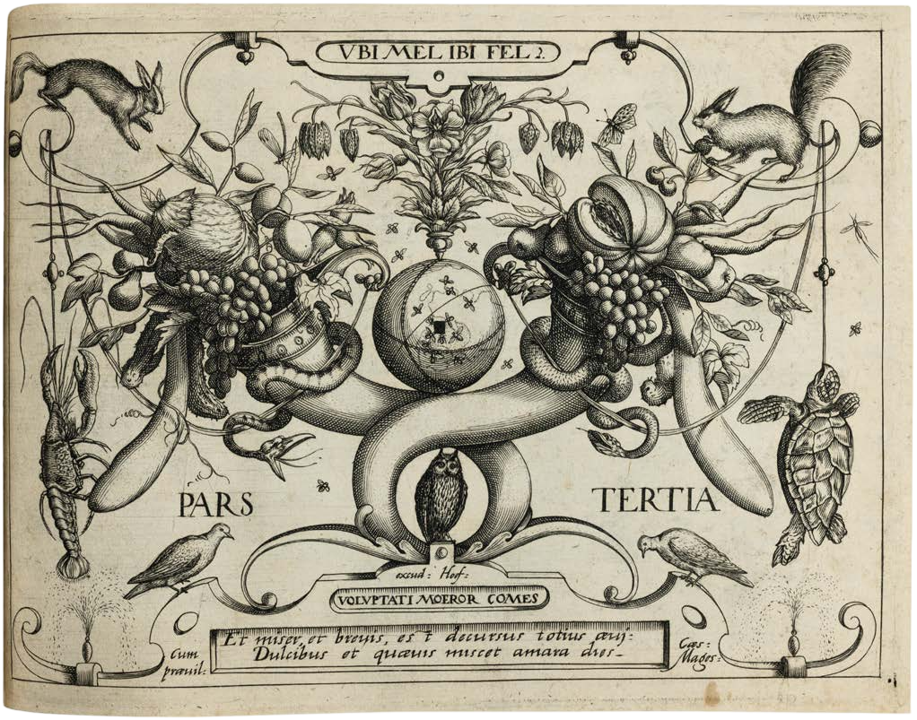 Georg Hoefnagel’s Archetypa Studiaque: Nature Under the Magnifying Glass