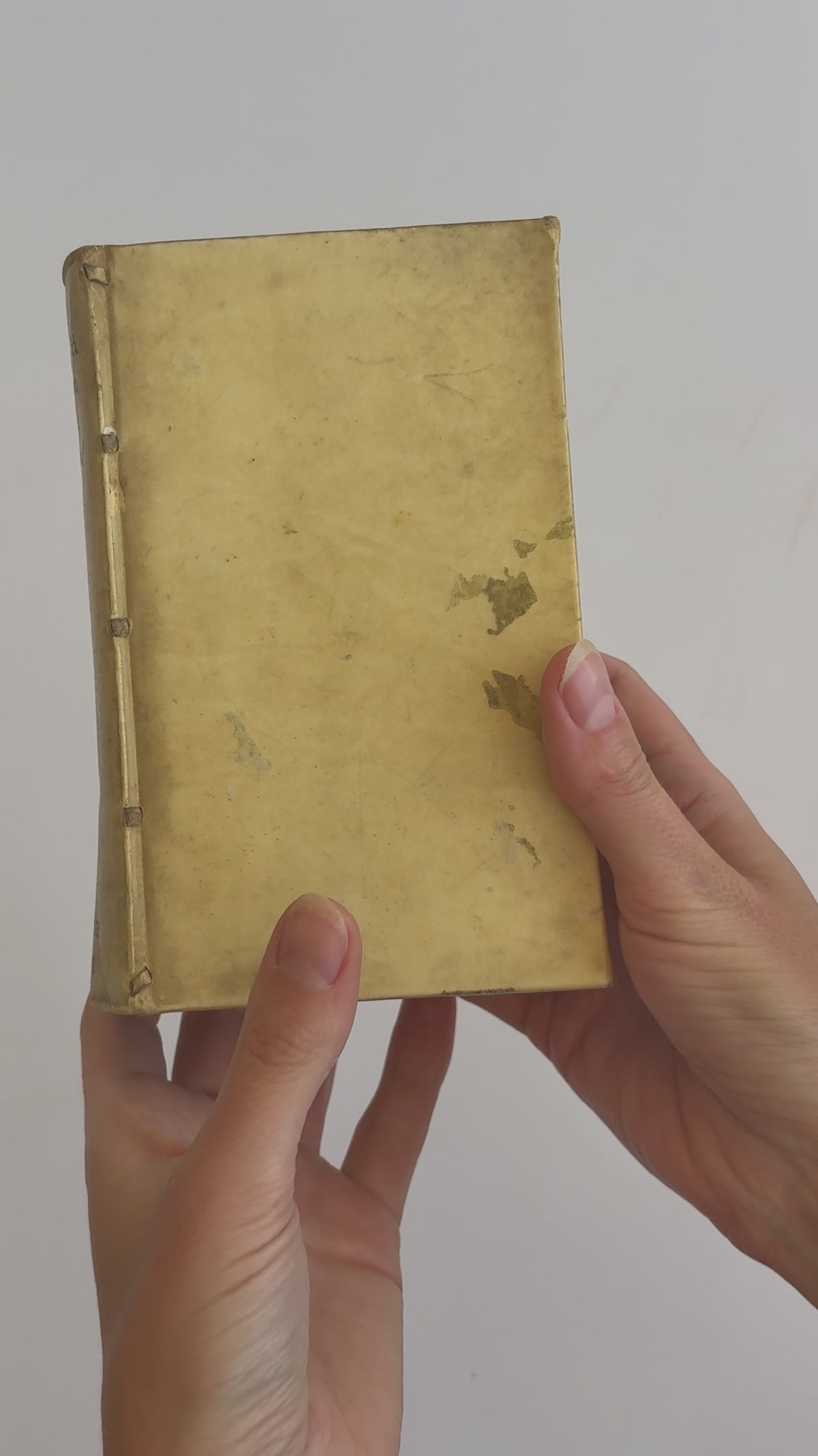 Film of Manutius, Epistolarum Libri XII (Leipzig, 1698) — The Aldine Heir's Letters, Edited by Leibniz's Teacher, from the Princely Oettingen-Wallerstein Library.