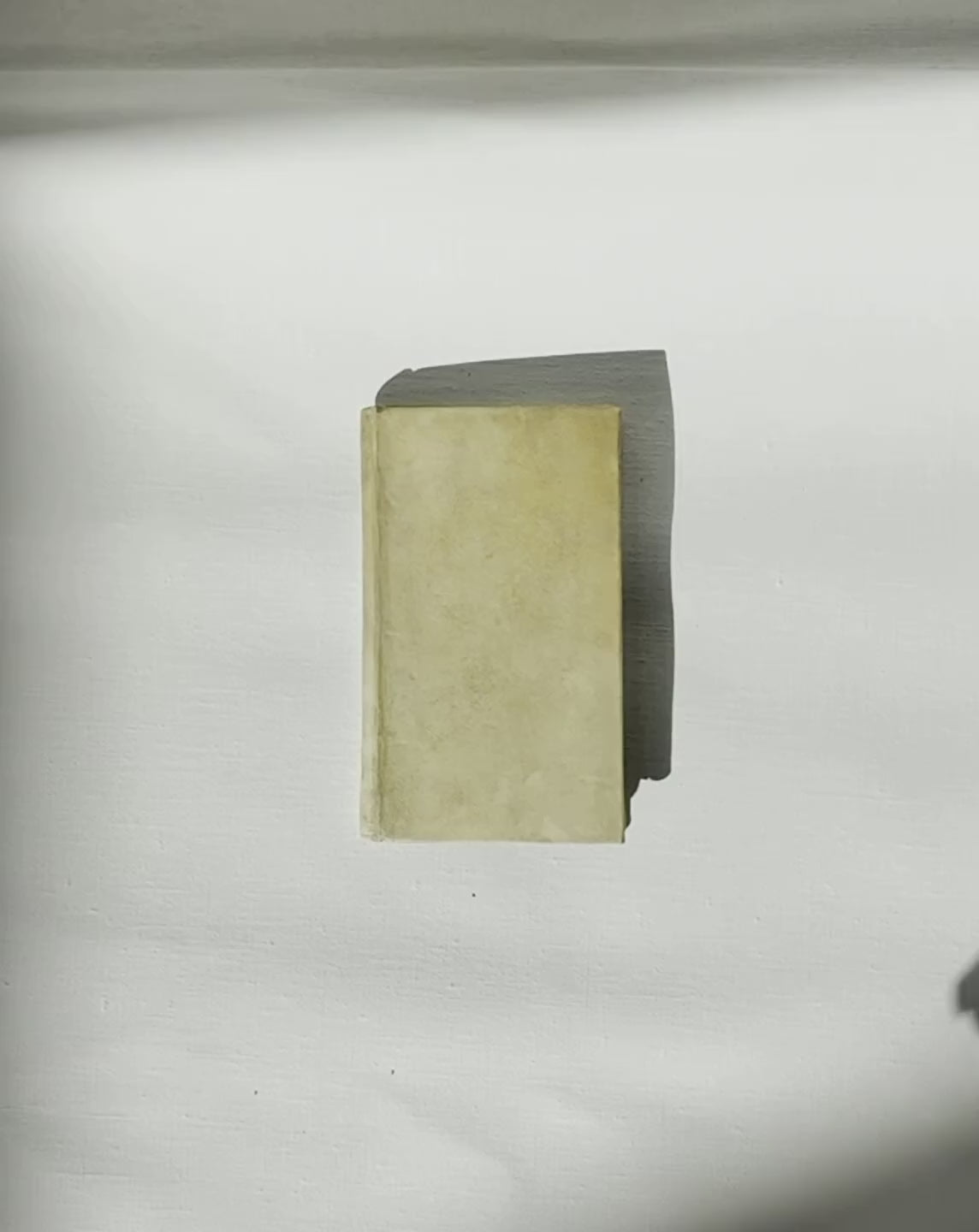 Film of La Libraria: The First Survey of Italian Printed Books.