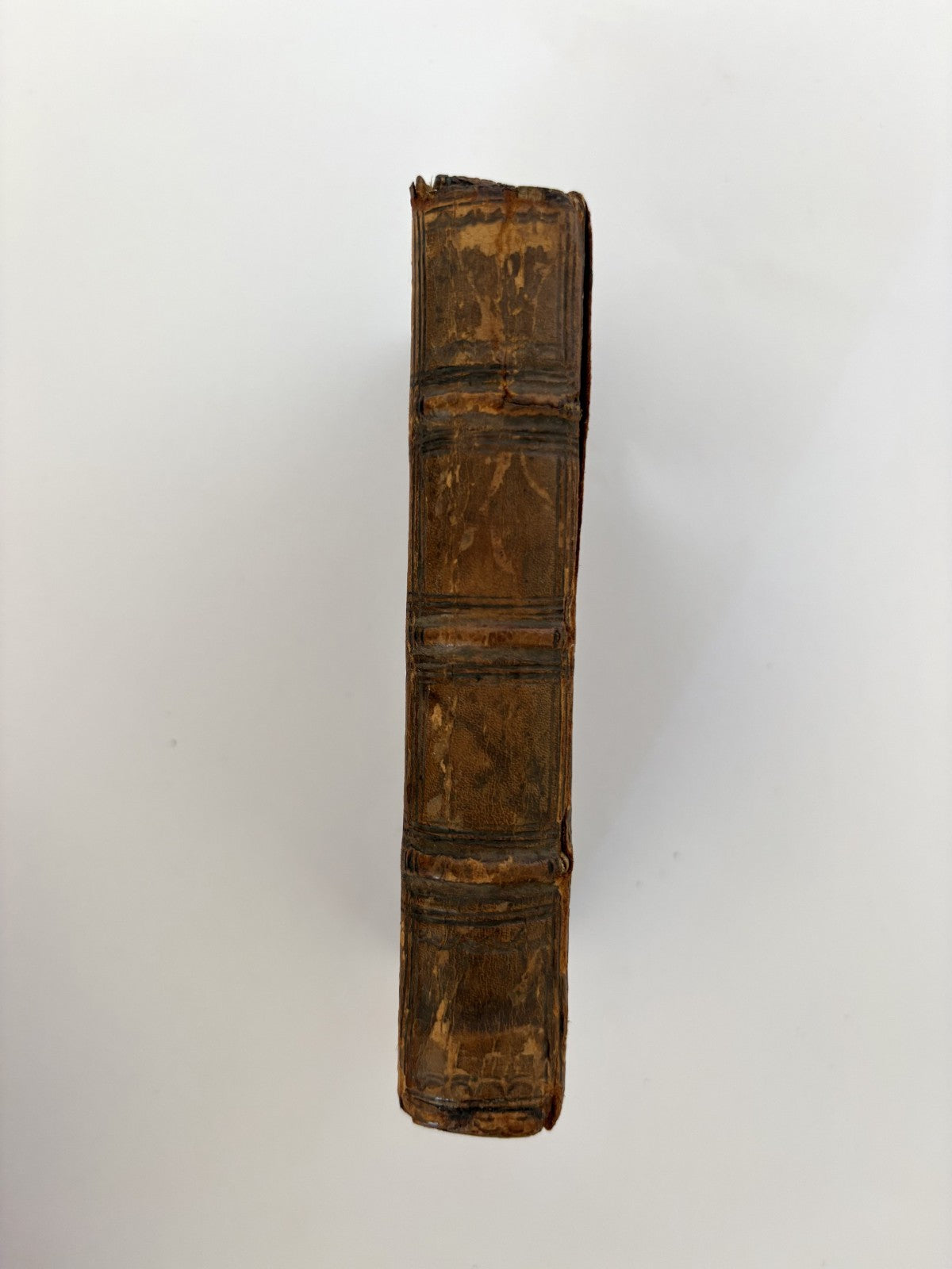 Suetonius, Lives of the Caesars, 1671 — Elzevir Press, 12mo Pocket Edition