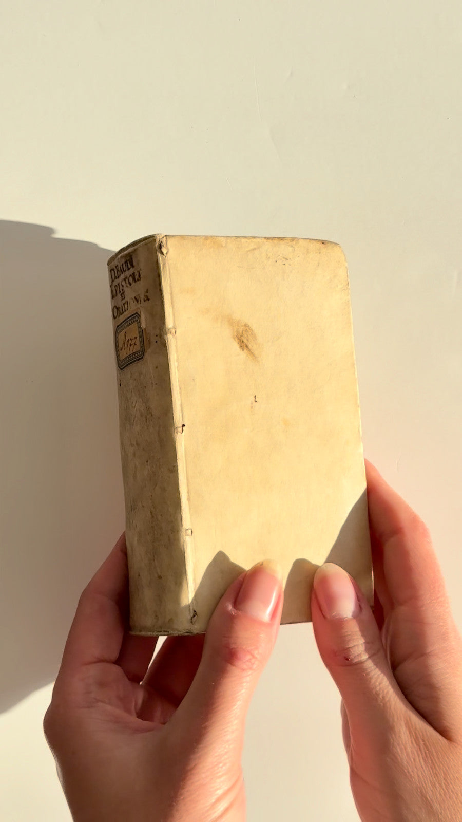 Baudius, Epistolae et Orationes, Editio Nova, 1642 — Janssonius, Vellum (Salloch Copy)
